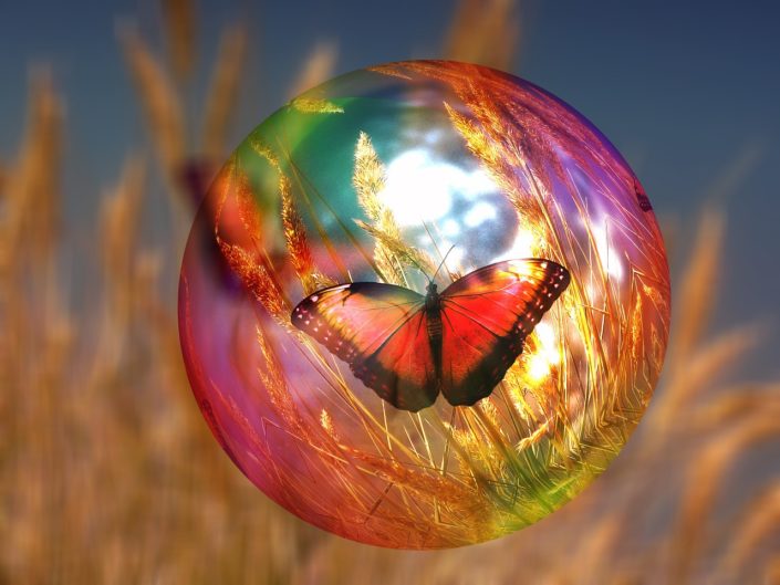 bulle-papillon