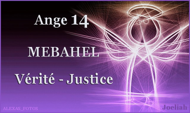 ange14