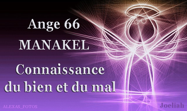 ange66