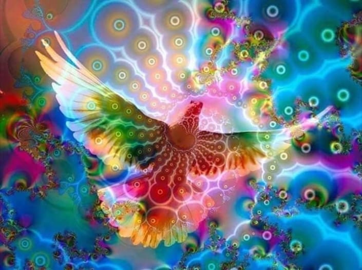 oiseau rayonnant
