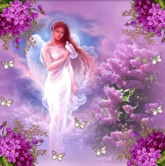 ange fleurs