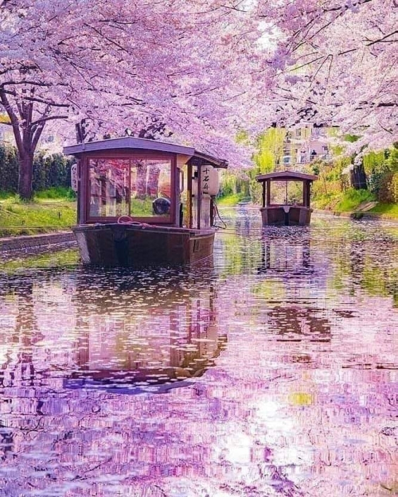 japon