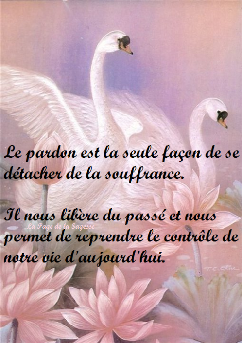 pardonlibération
