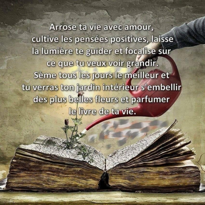 livre de vie