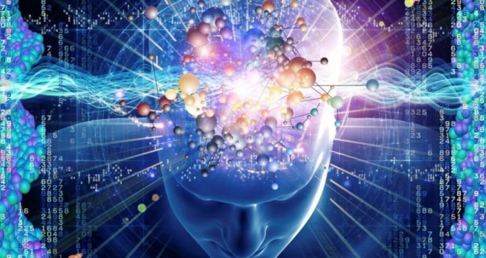 cerveau